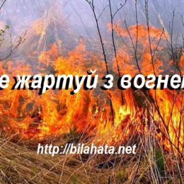 Екологічна інспекція нагадала про протипожежні заходи безпеки