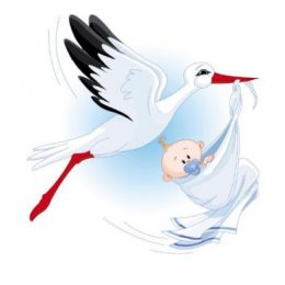 23 пари чернігівців одружилися одночасно з народженням дитини