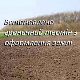 Новий «земельний» закон зобов`язує оформити землю, інакше її можна позбутися