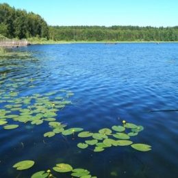Жорстоко покарав рибалок — одного забив до смерті