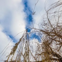 6,8º тепла було цього дня 20 років тому
