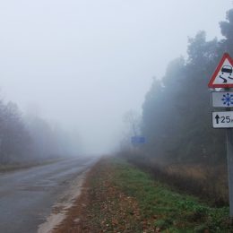 Чернігівські синоптики попередили про сильний туман 20 лютого