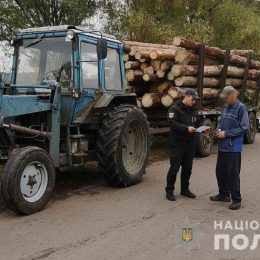 Про факти викрадення лісу закликали повідомляти поліцію
