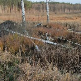 Першого зимового дня на прикордонні з Білоруссю
