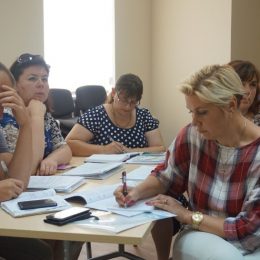 Представники громад дізнавалися про особливості системи Рrozorrо