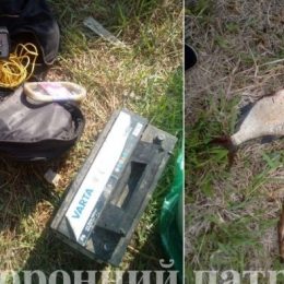 Понад 19 тис. грн збитків завдали «рибні» браконьєри