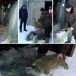 1 148 знарядь лову виявив Чернігівський рибоохоронний патруль