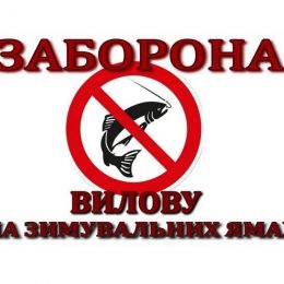 Допоможіть підводним мешканцям добре перенести зимовий період