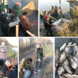 У Десну випустили тонну рослиноїдних видів риб