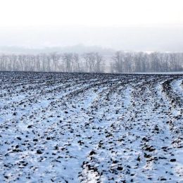 За порушення умов оренди землі стягнули 15 000 гривень