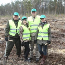 На Чернігівщині висадили деревця для нового лісу! Відео