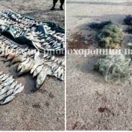 Чернігівським рибоохоронним патрулем викрито порушників