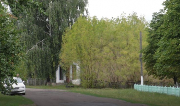 Серйозні скандали за землю вже розпочалися. Чи то ще буде?