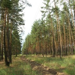 Остерські військові вогнеборці завжди у повній бойовій готовності