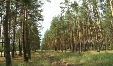 Остерські військові вогнеборці завжди у повній бойовій готовності