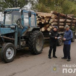 Про факти викрадення лісу закликали повідомляти поліцію