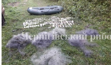 Чернігівський рибоохоронний патруль викрив порушників із 33 кг риби