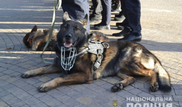 Вулиці Чернігова стануть безпечнішими