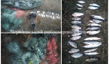Порушників з 12 кг риби затримали на Чернігівщині