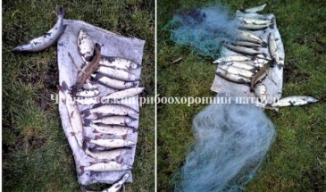 Порушника-рибалку оштрафували на 5 тисяч гривень