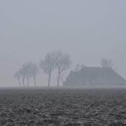 Повернення земельної ділянки у держвласність вимагає прокуратура