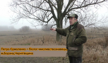 Схеми варварського знищення природи розкрив біолог із Чернігівщини