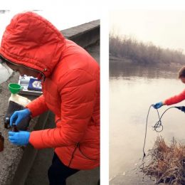 Дослідили воду у річках Стрижень та Десна. Ось що виявили