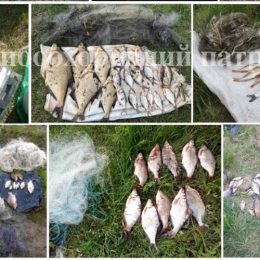 290 кг незаконно добутої риби вилучено на Чернігівщині