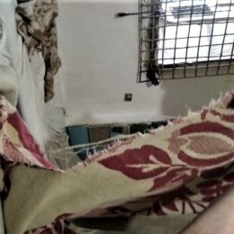 У Чернігівському СІЗО в`язні сплять по черзі через незадовільні умови