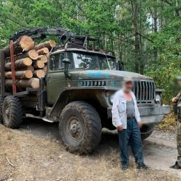 Незаконну вирубку лісу виявили прикордонники