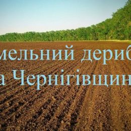 Чернігівщина: Про земельний дерибан у Плисках