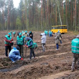 Чернігівщина взяла участь у природничій Всеукраїнській акції