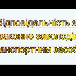 Заволодів чужим автомобілем вперше — пробачать