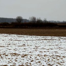 На Чернігівщині відновлюють інтереси держави у земельній сфері