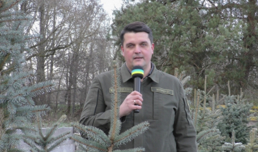Лісівники вітають жителів Чернігівщини з Новим роком