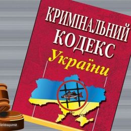 За незаконну риболовлю браконьєр отримав рік і шість місяців