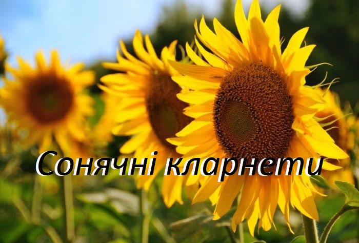 Минає два роки як востаннє прозвучали в ефірі «Сонячні кларнети»