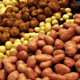 Для провідних виробників чіпсів картоплю вирощують на Чернігівщині