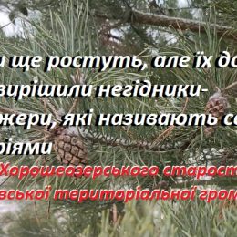 Береги колись судноплавної річки Остер безсовісно заорали