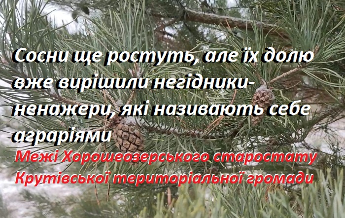 Береги колись судноплавної річки Остер безсовісно заорали