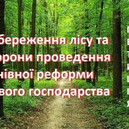 Мешканці Семенівки звернулися до влади, аби зберегти лісгосп