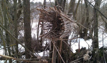 20 штучних гнізд для диких пташок облаштували в Мезинському парку