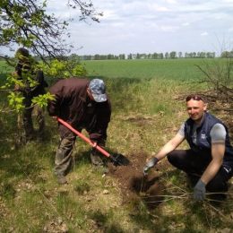 Польові лісосмуги відновлюють на Ніжинщині