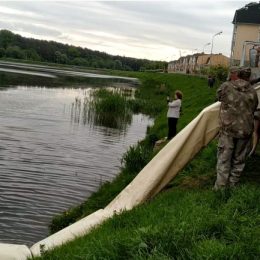 15 тисяч коропа випустили в річку Стрижень у Чернігові