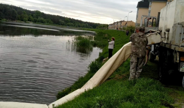 15 тисяч коропа випустили в річку Стрижень у Чернігові