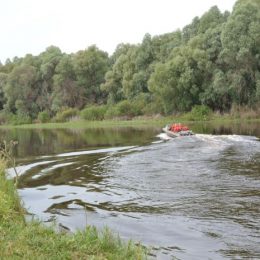 Ліси на кордоні — під прицілом