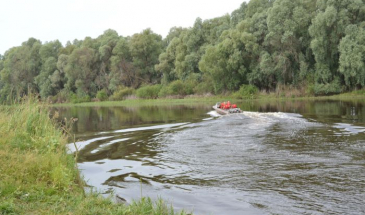 Ліси на кордоні — під прицілом