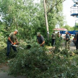 Турботу про рідний край не заміниш вишитим рушником