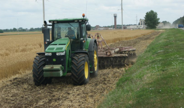 Перші жнива на Чернігівщині завершили за тиждень