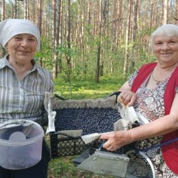 Дари лісу цьогоріч щедрі на врожай